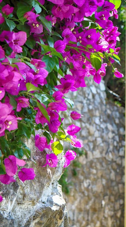 Positano Holidays Екстер'єр фото