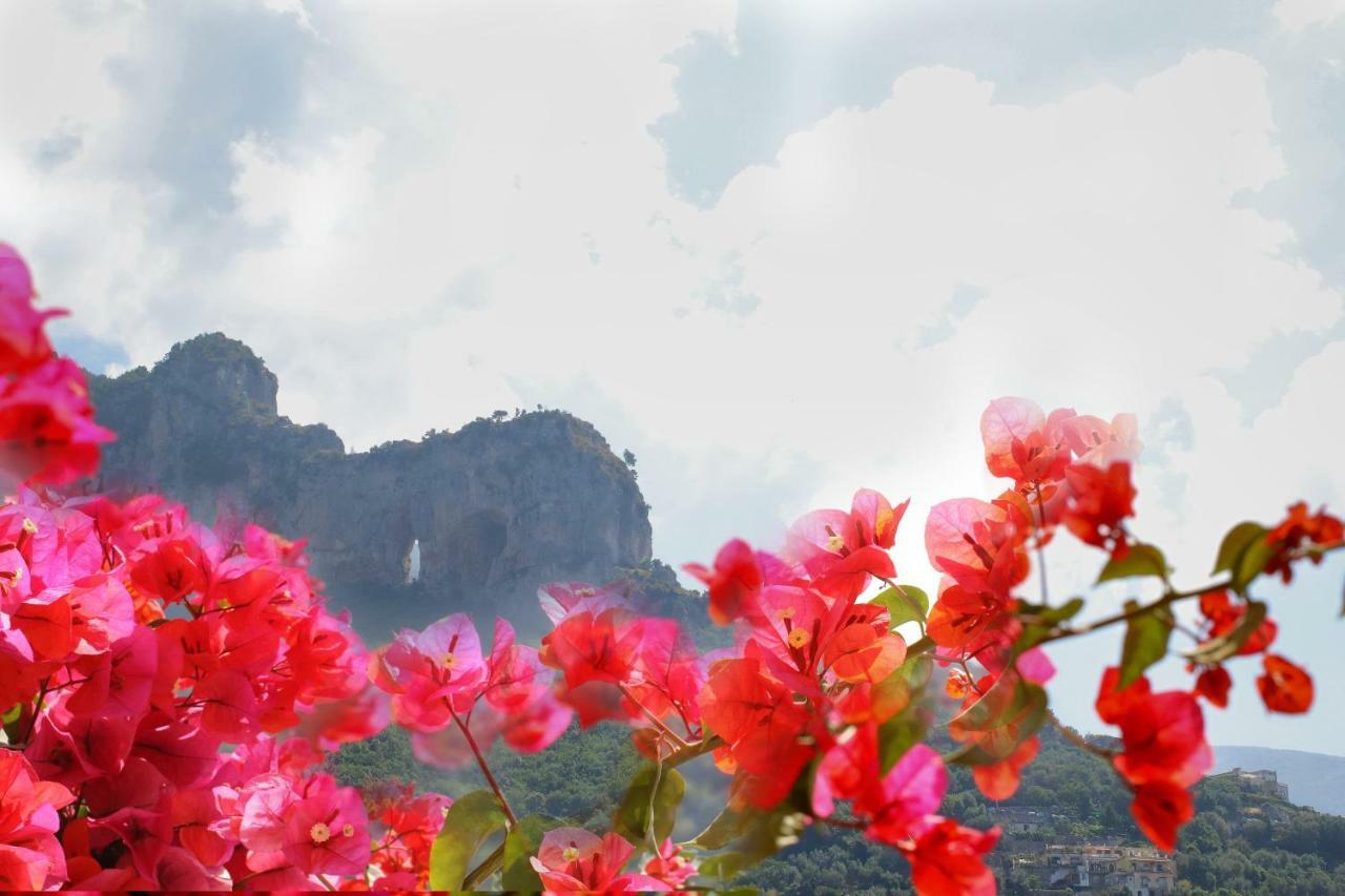 Positano Holidays Екстер'єр фото